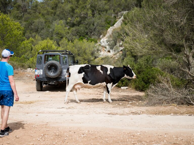 520. Jeep Safari Sunset Experience EN 6 jeep-safari-menorca-guided-excursions-12